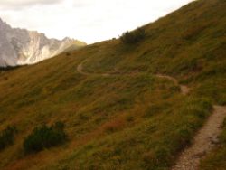 2013-09-08_6Falkenh-Steinfalk (074).JPG
